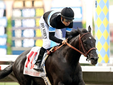 Mastering Thoroughbred Sales: Insider Tips