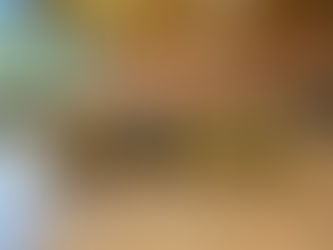 Kleinste Marmonts  gewinnen den Stockschlag-Cup in Felsberg