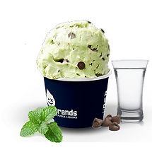 Mint Choc Chip