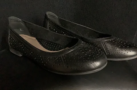 earth royale ballet flats