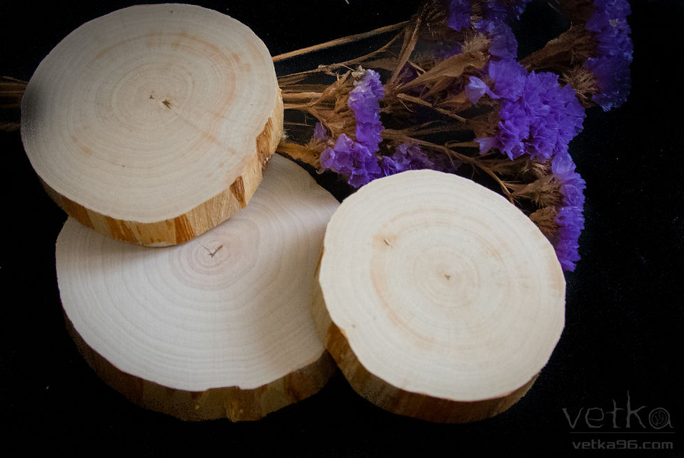 Миниатюра: Спилы/срезы дерева