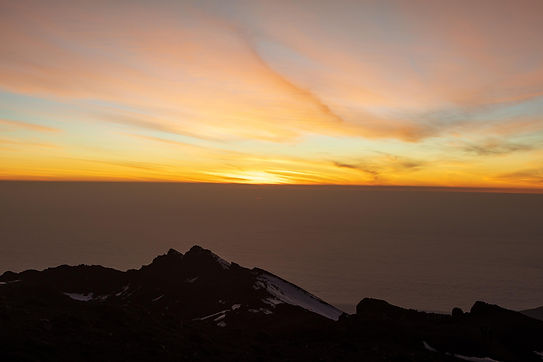 squirrel_photos-kilimanjaro-7312241_1920.jpg