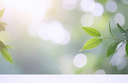 名称未設定 (Facebookの投稿) (6).png