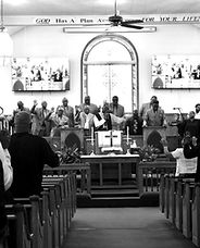 IMG_4558_edited.jpg