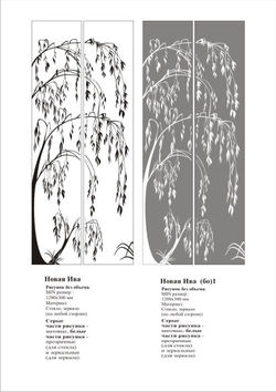 Новая ива.jpg