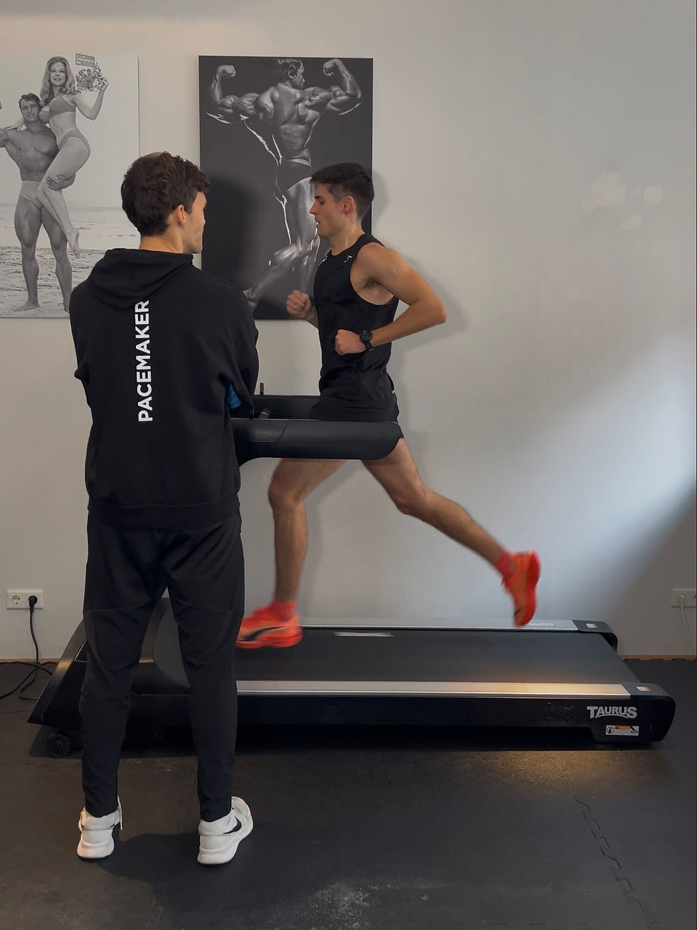 Ermittlung der Trainingsbereiche bei einem Laktattest