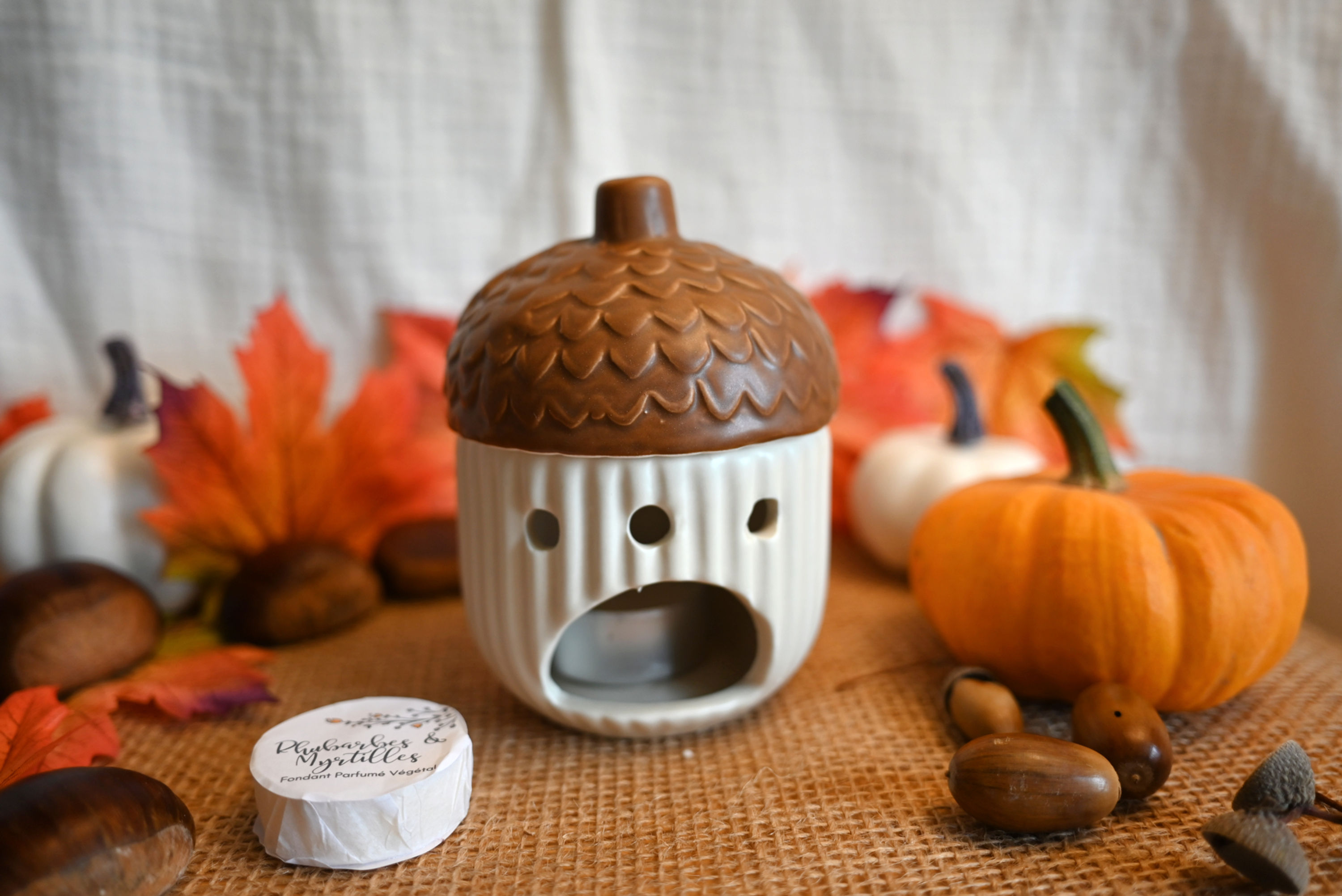 Brûle parfum Céramique Gland