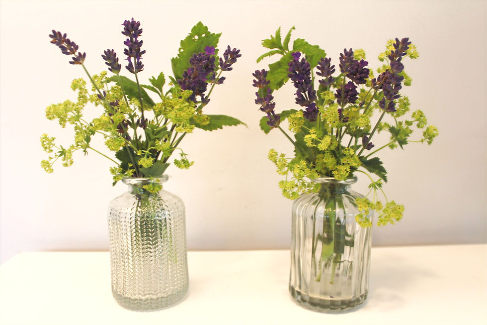 Thumbnail: Pair of Small Botanical Vases, Clear, Set of 2 Designs