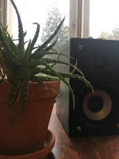 view from the studio