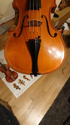 viola