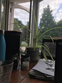 view from the studio 2