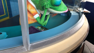 IMG_1627.jpeg
