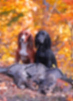 Facetune_19-10-2024-17-22-39 2.JPEG