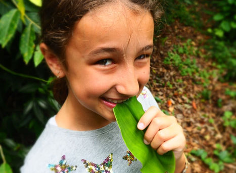 Foraging can be done anywhere in Paraty from the beaches and mangroves to trails through the forest, if you know what you’re doing.