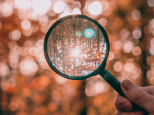 Early Detection Key to Effective Pest Control