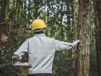 AdobeStock_219505571.jpeg