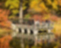 Turtle Pond Dock