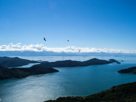 Tropical Fjord Kayak Trip (3 Days)