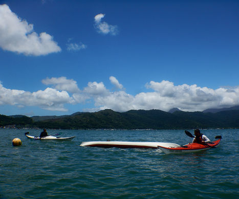 Kayak Course (1 Day)