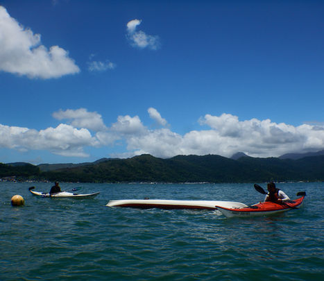 Kayak Course (1 Day)