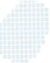 Circles (1).png