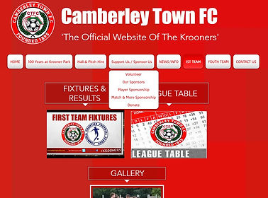 website Screenshot .jpg
