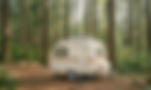 bg-image.png