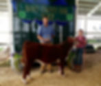 Champion Prospect Steer