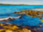 Traditional Landscapes