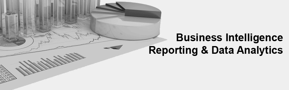 Reporting & Daten Analyse