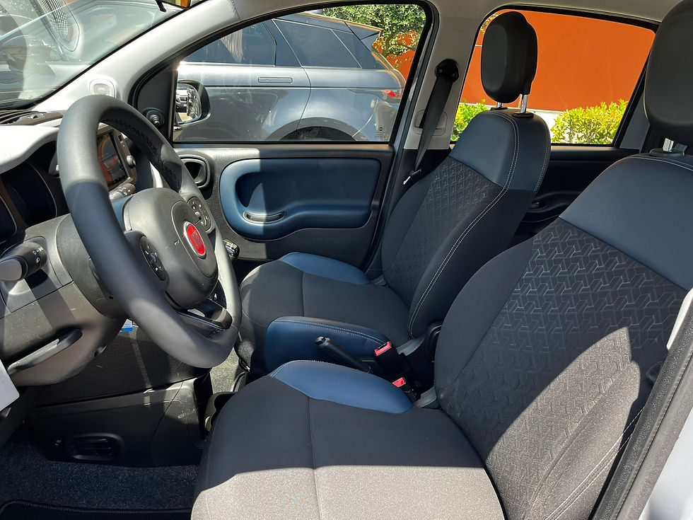 Miniatura: Fiat Panda 1.0 FireFly S&S Hybrid City Cross