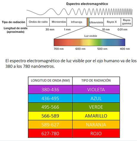 Imagen16.png
