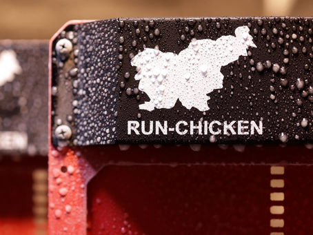Run-Chicken Door Types