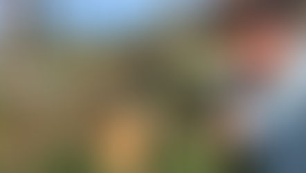 David Beckham with chickens 