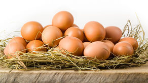 Egg facts
