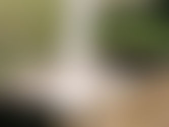 Supplements for Chickens