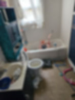 Junk removal before bathroom renovation cleanup in Elkhart Indiana