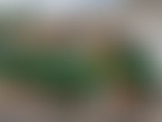 5 Dumpster Rental Mistakes in Michiana (And How to Avoid Them)