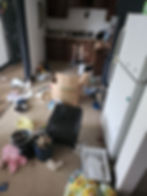 Junk removal before kitchen junk cleanup in Nappanee Indiana