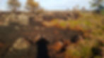Controlled land burning