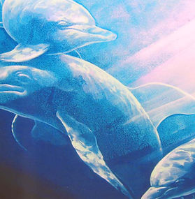 Dolphins in kids room mural - Fredericksburg Virginia