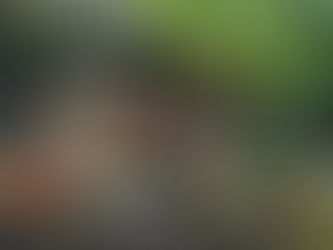 Trust fall with the Universe