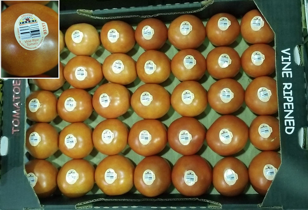 Local Produce Veggie Orphans by Alderman Farms Palm Beach County