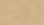 Web Banner Brown Leaves Muted.png