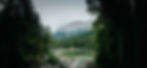 Wedding-2.jpg