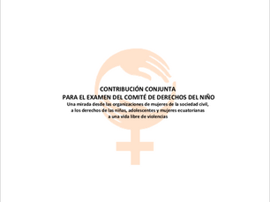 Informe Sombra para el Comité de Derechos del Niño sobre violencias contra las niñas 2016