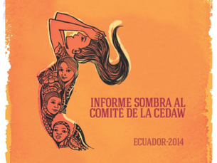 Informe Sombra CEDAW 2014
