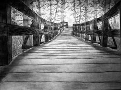 Trail