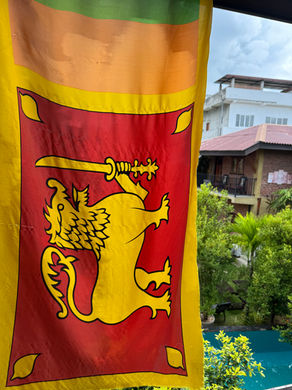 From Fireworks to Tuk-Tuk Licences: Our First Days in Sri Lanka