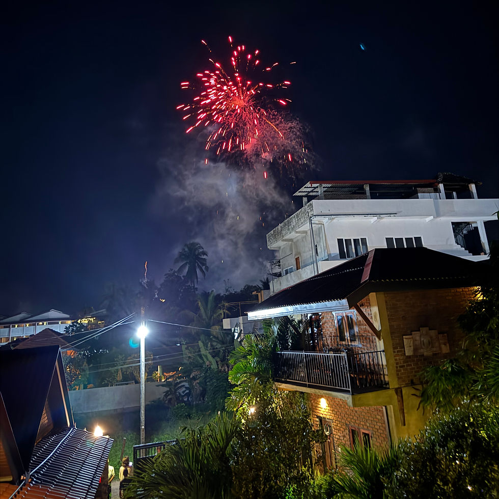 Local New Year Fireworks